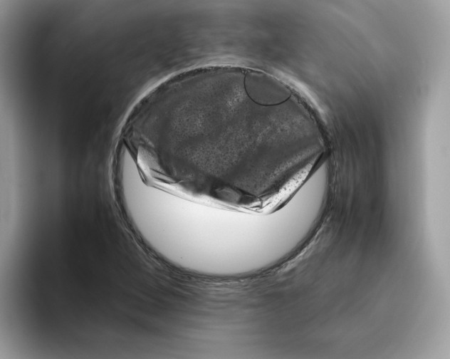 X0000094341264200711301241