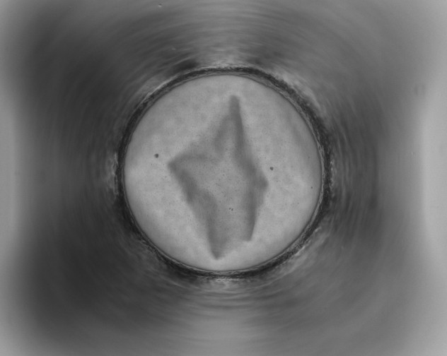 X0000094341265200711301241