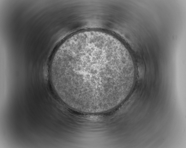 X0000094341266200711301241