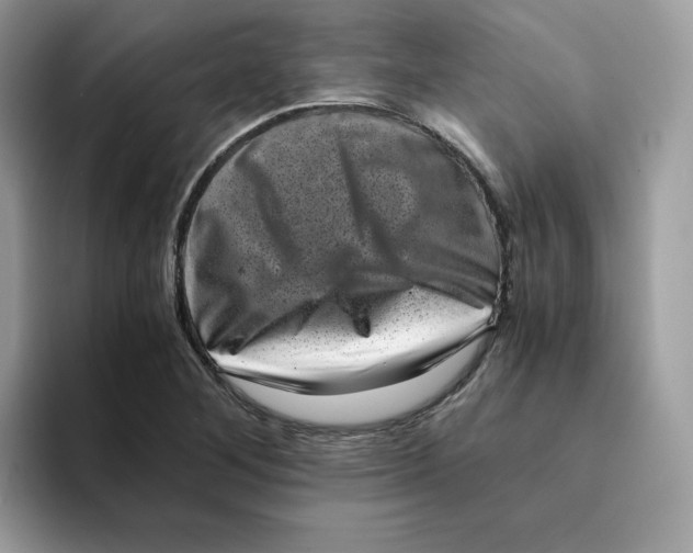 X0000094341268200711301241