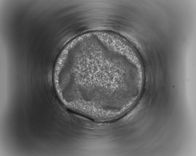 X0000094341273200711301241