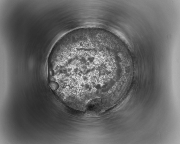 X0000094341275200711301241