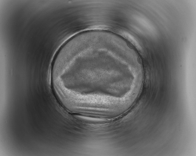 X0000094341276200711301241