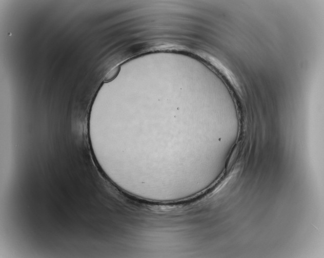 X0000094341281200711301241