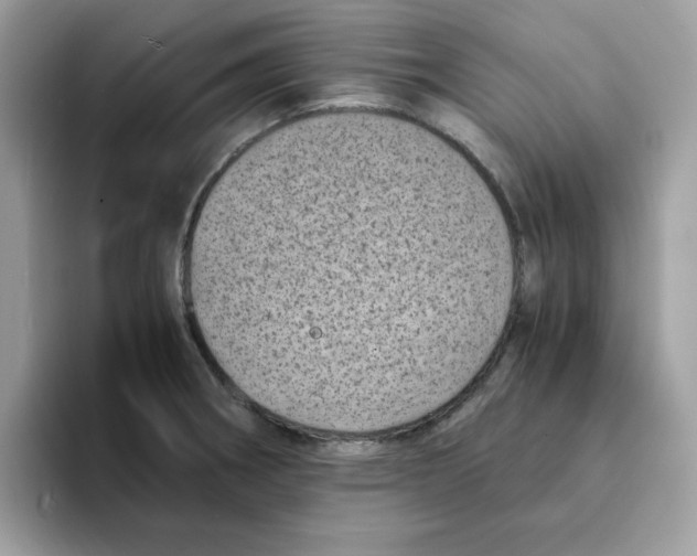 X0000094341282200711301241