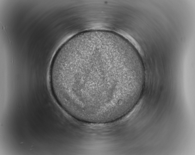 X0000094341285200711301241