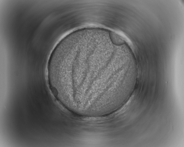 X0000094341287200711301241