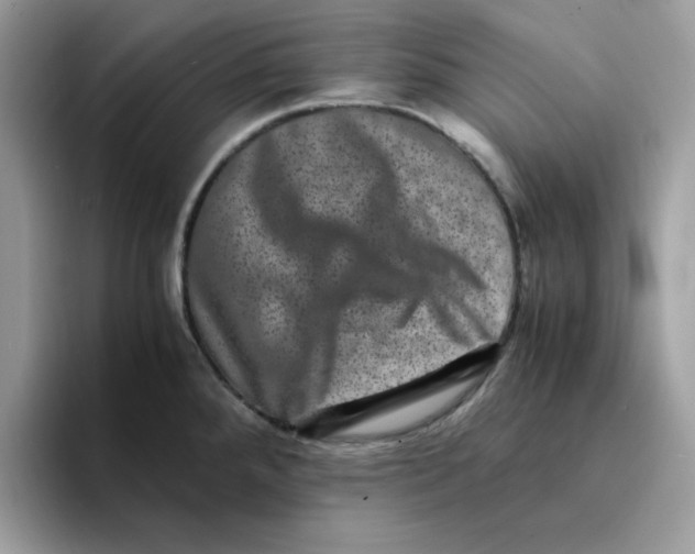 X0000094341288200711301241