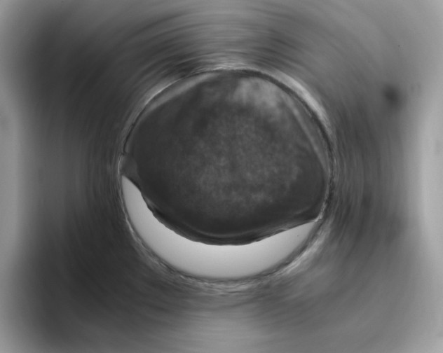 X0000094341289200711301241