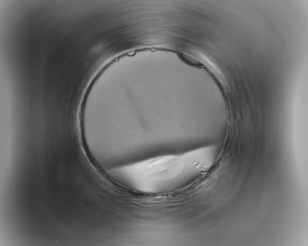 X0000094341291200711301241