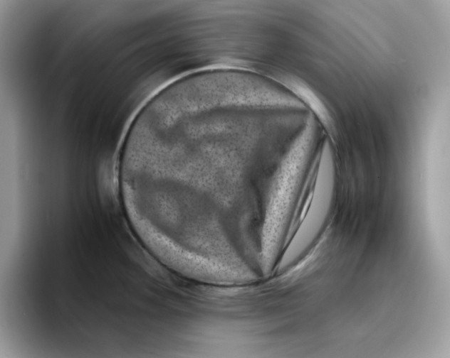 X0000094341292200711301241