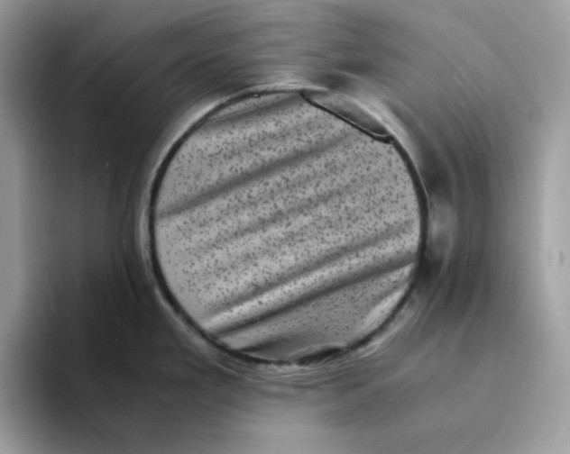 X0000094341293200711301241