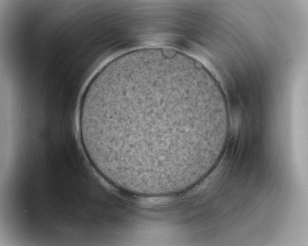 X0000094341294200711301241