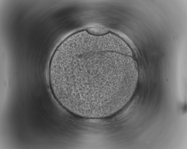 X0000094341295200711301241