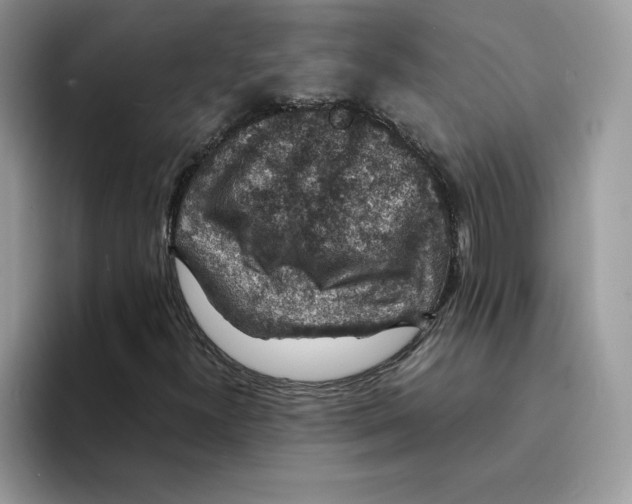 X0000094341300200711301240