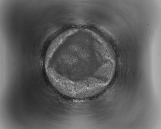 X0000094341302200711301240