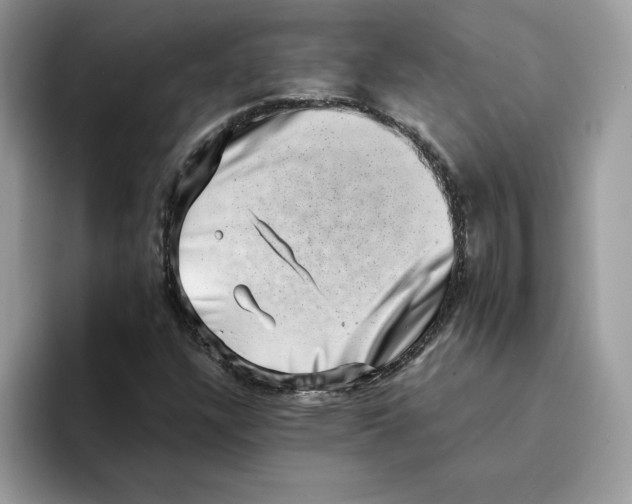 X0000094341304200711301240