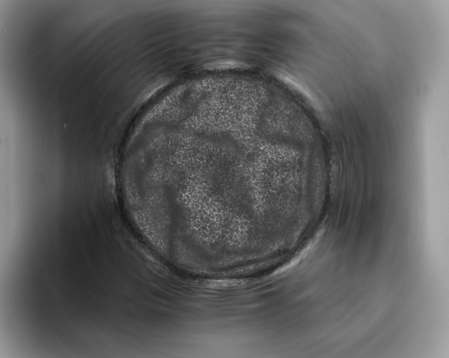 X0000094341305200711301240