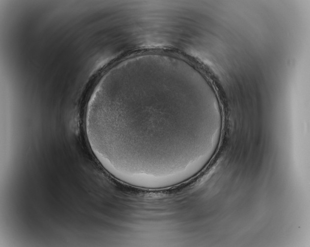 X0000094341306200711301240