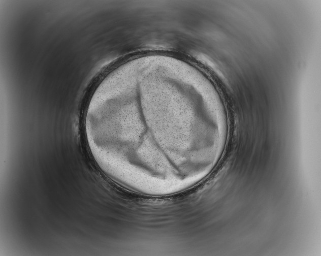 X0000094341307200711301240