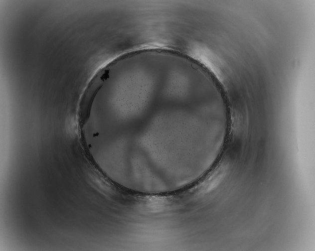 X0000094341308200711301240