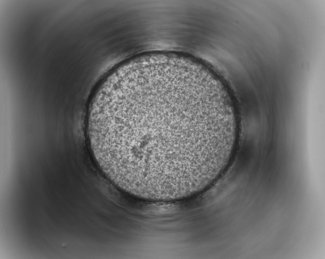 X0000094341314200711301240