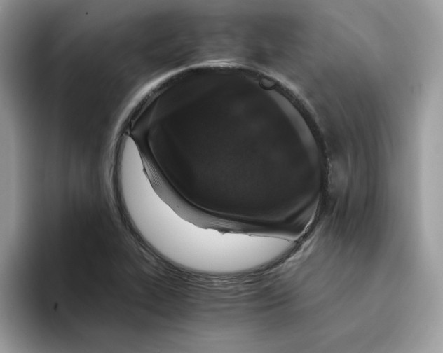 X0000094341319200711301241