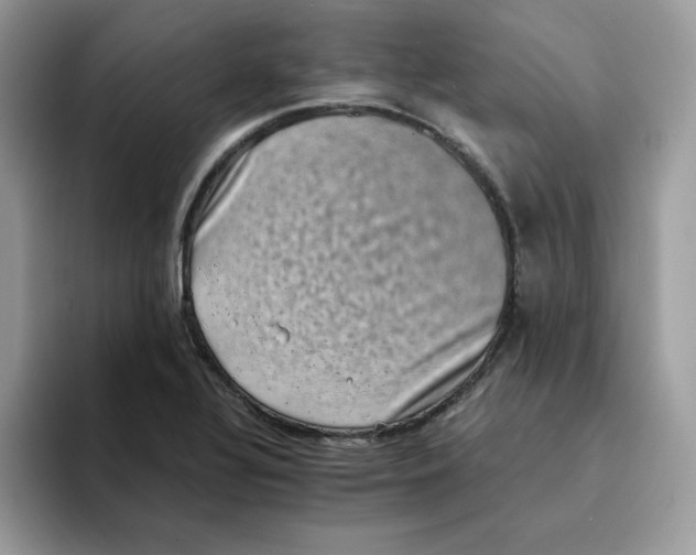 X0000094341320200711301241