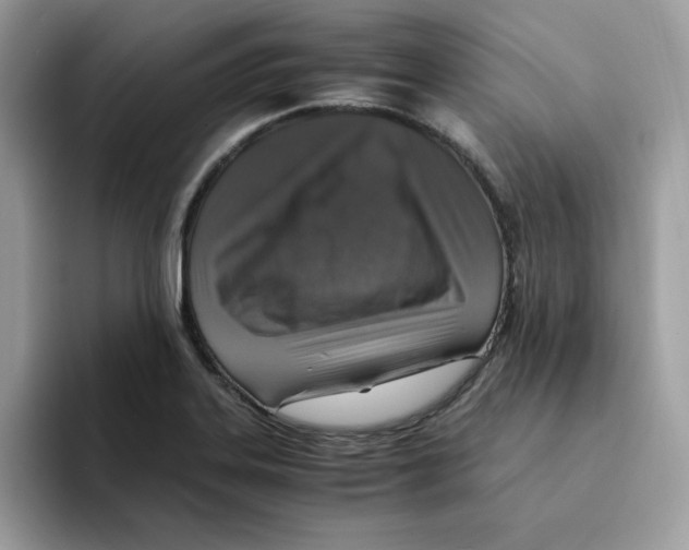 X0000094341323200711301241