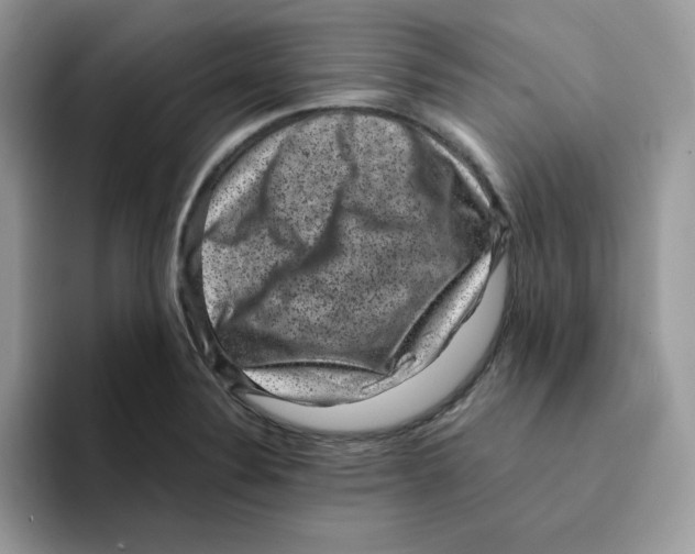 X0000094341324200711301241