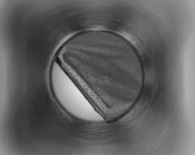 X0000094341325200711301241