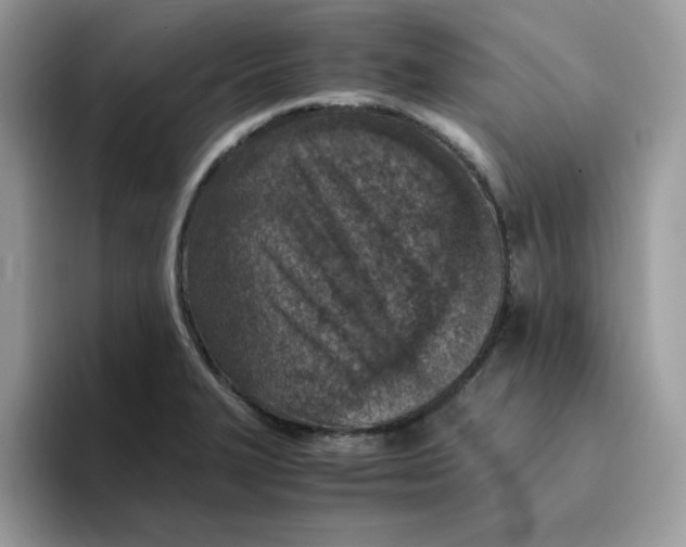 X0000094341327200711301241