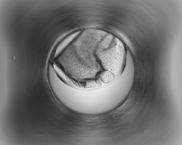 X0000094341332200711301241