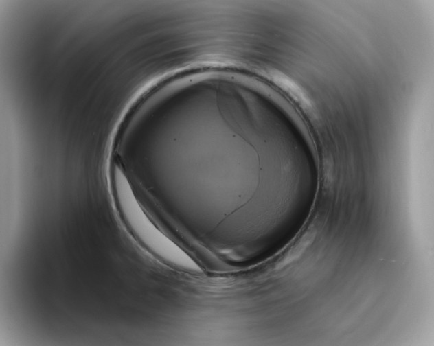 X0000094341334200711301241