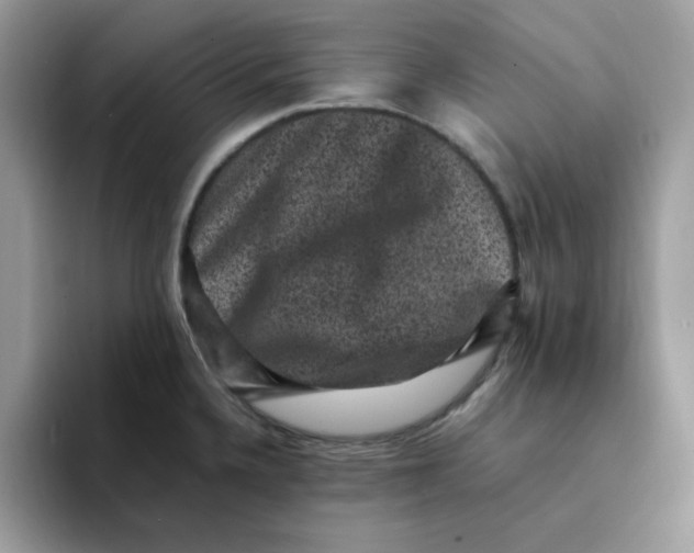 X0000094341336200711301241