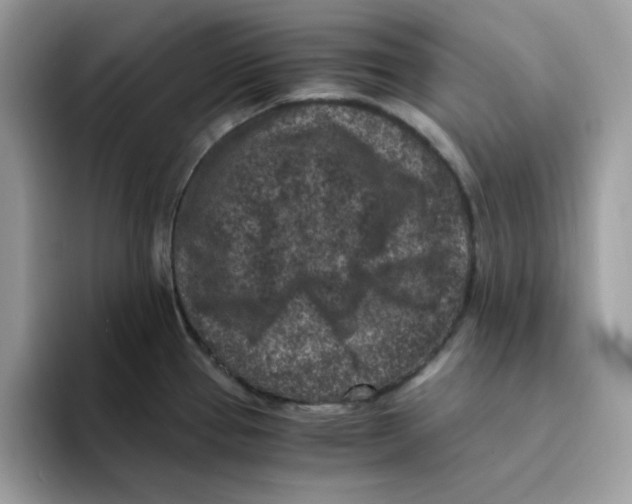 X0000094341337200711301241