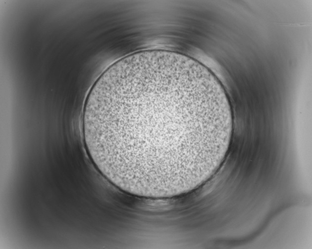 X0000094341338200711301241