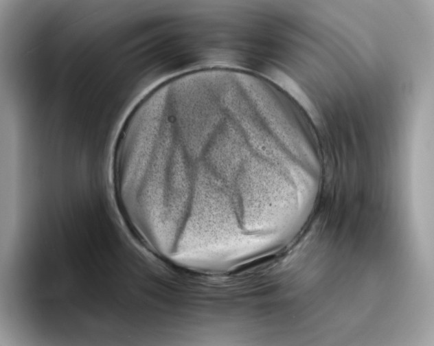 X0000094341339200711301241