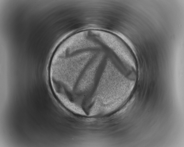 X0000094341341200711301241