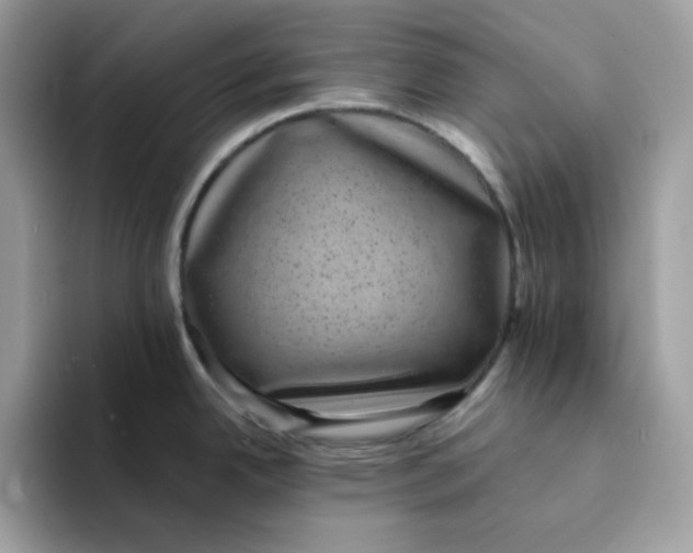 X0000094341342200711301241