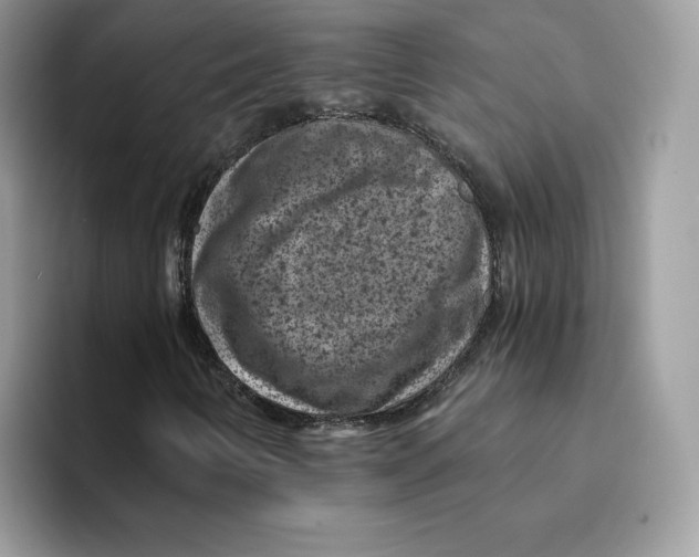 X0000094341346200711301240