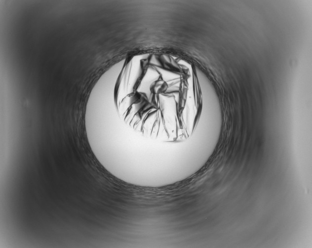 X0000094341348200711301240