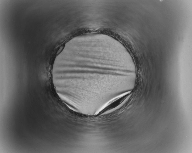 X0000094341349200711301240