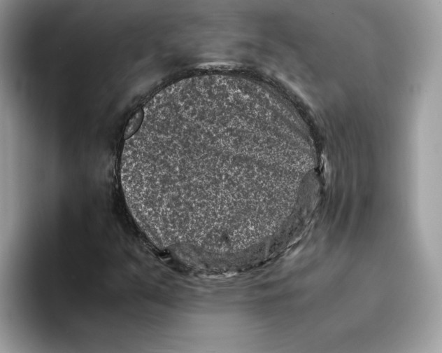 X0000094341351200711301240