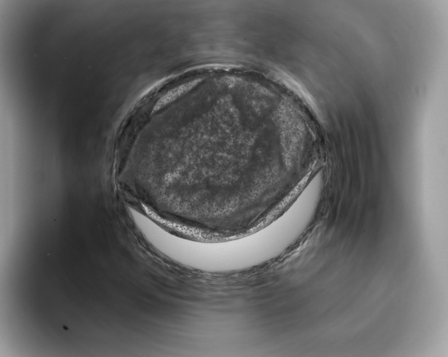 X0000094341352200711301240