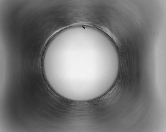 X0000094341356200711301240