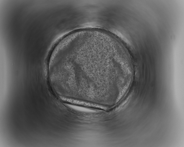 X0000094341358200711301240