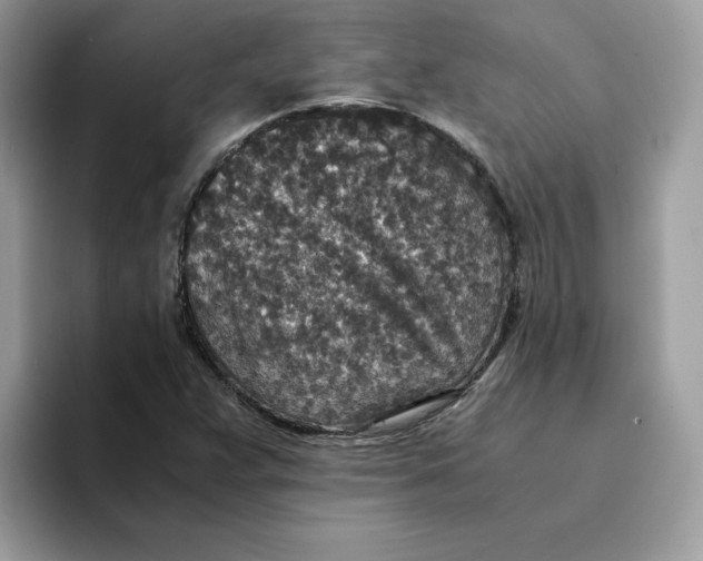 X0000094341359200711301240