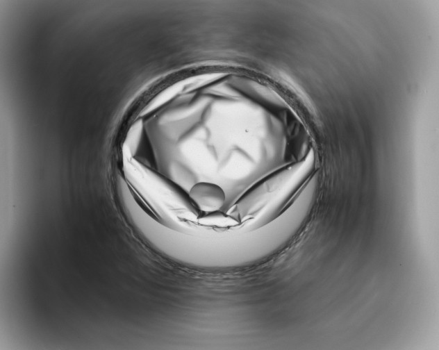 X0000094341360200711301240