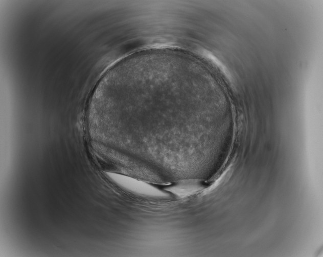 X0000094341361200711301240